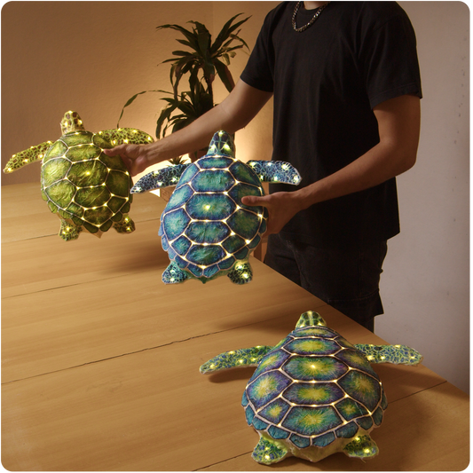 Turtle Pattern
