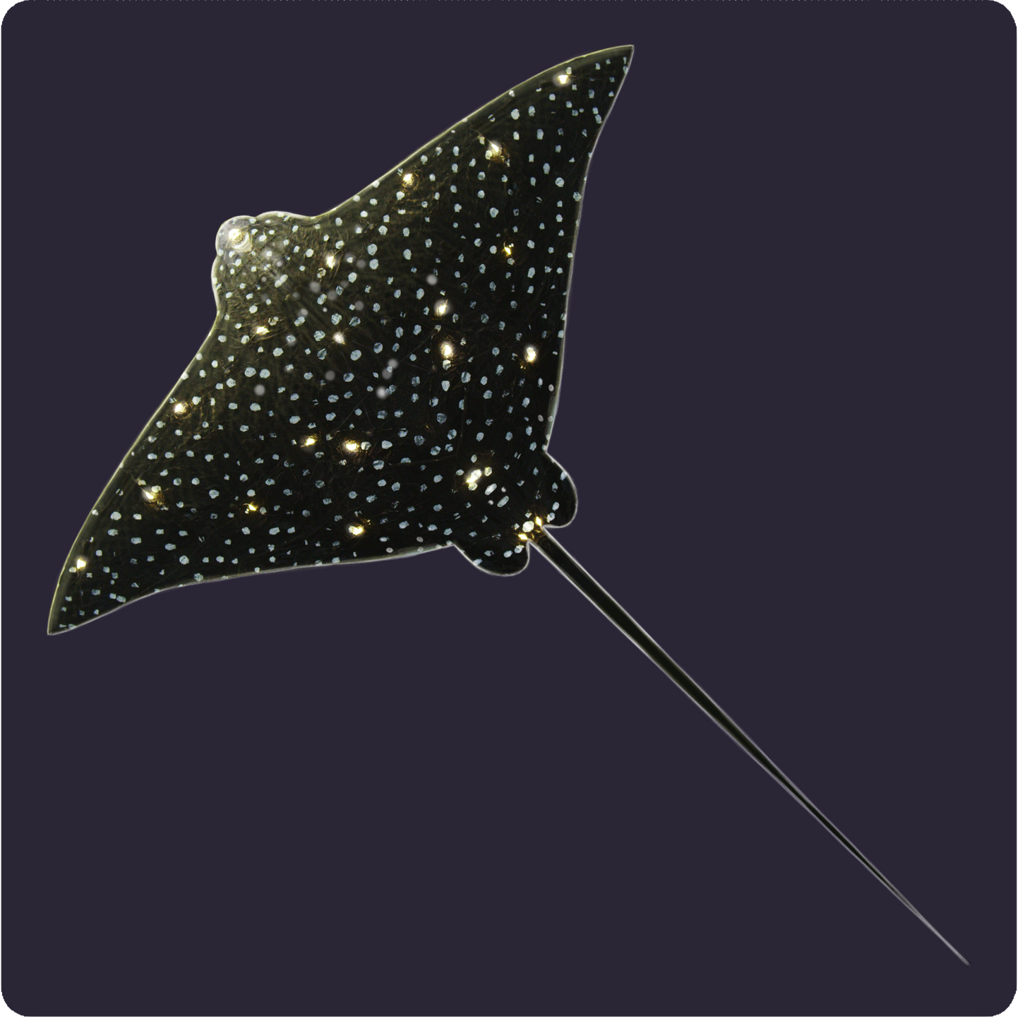 Eagle Ray Pattern