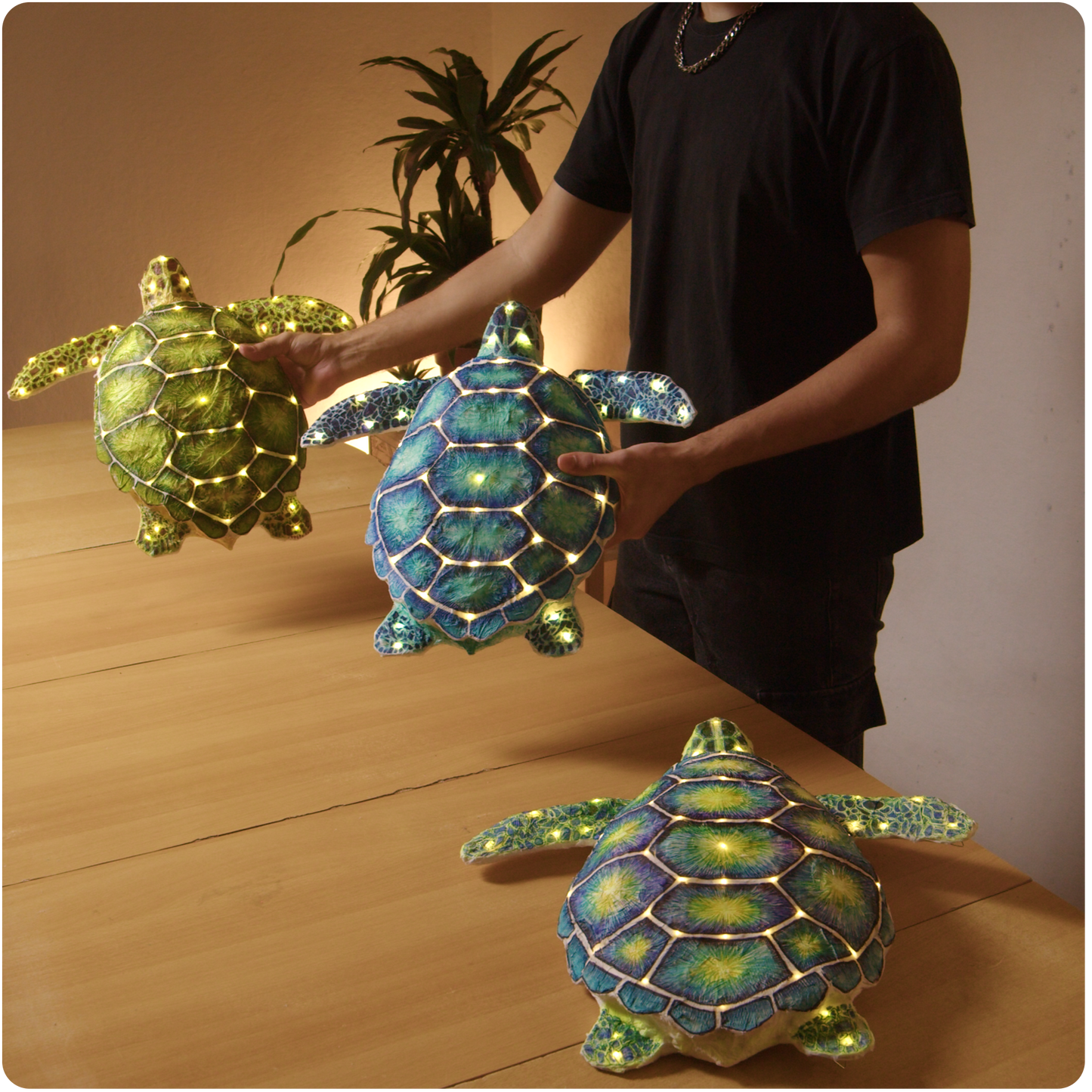 Turtle Pattern
