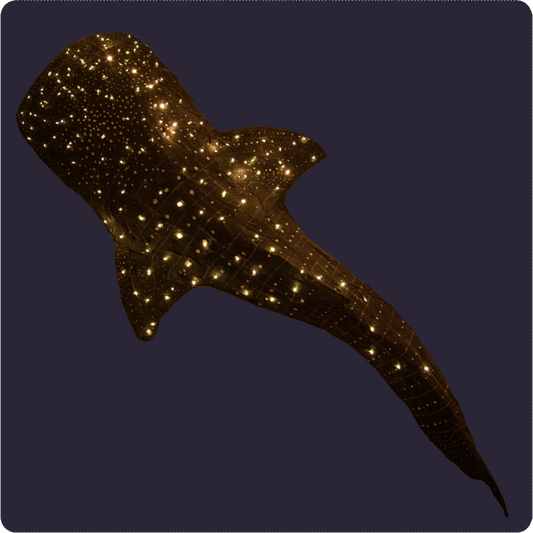 GIANT WHALE SHARK PATTERN