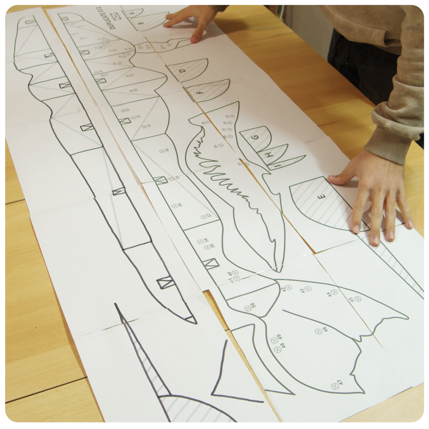 GIANT TULKUN PATTERN