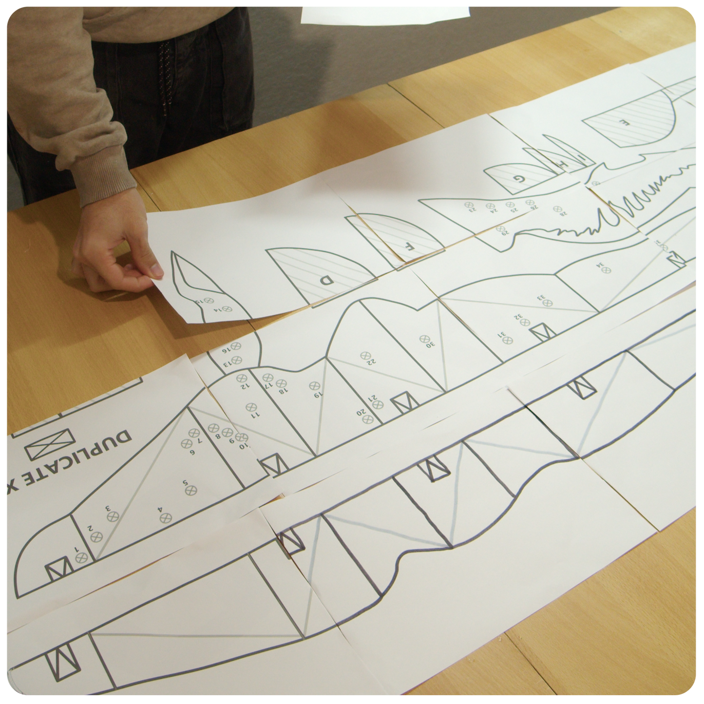 GIANT TULKUN PATTERN