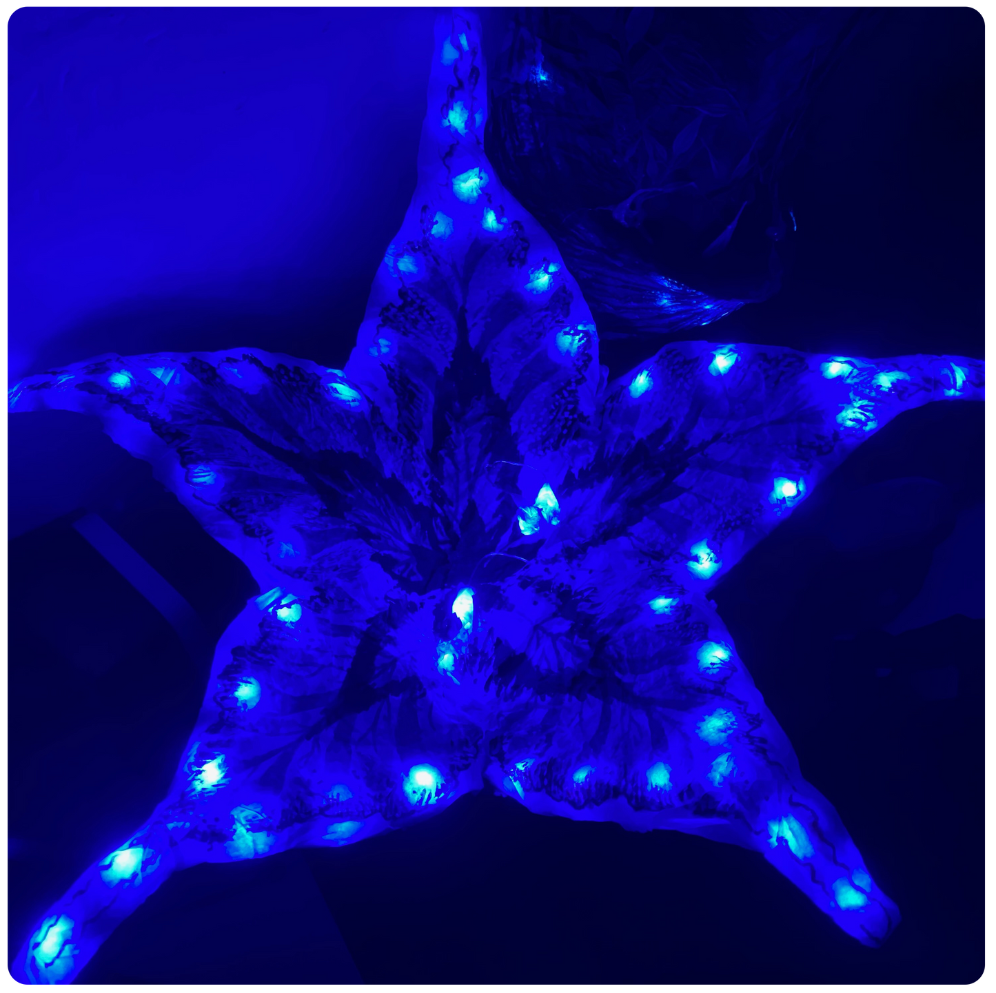 AVATAR PLANT PATTERN