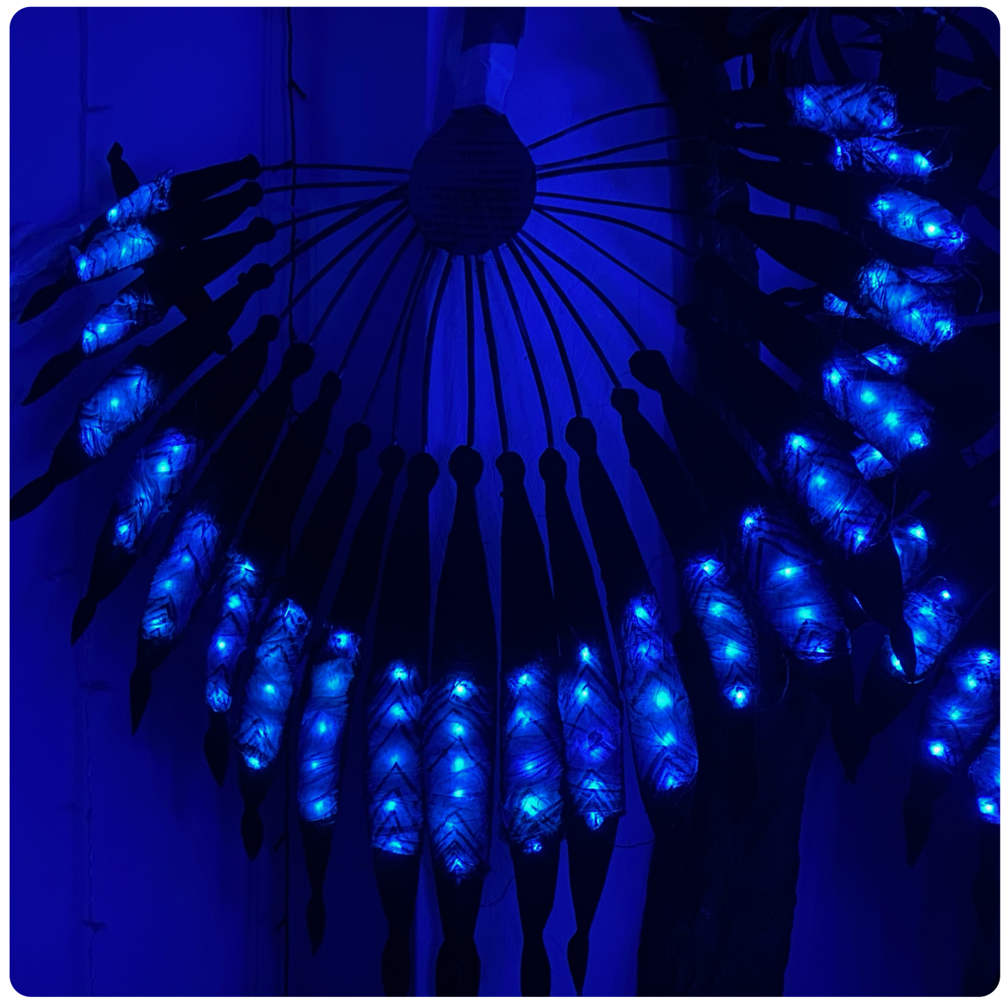 AVATAR PLANT PATTERN