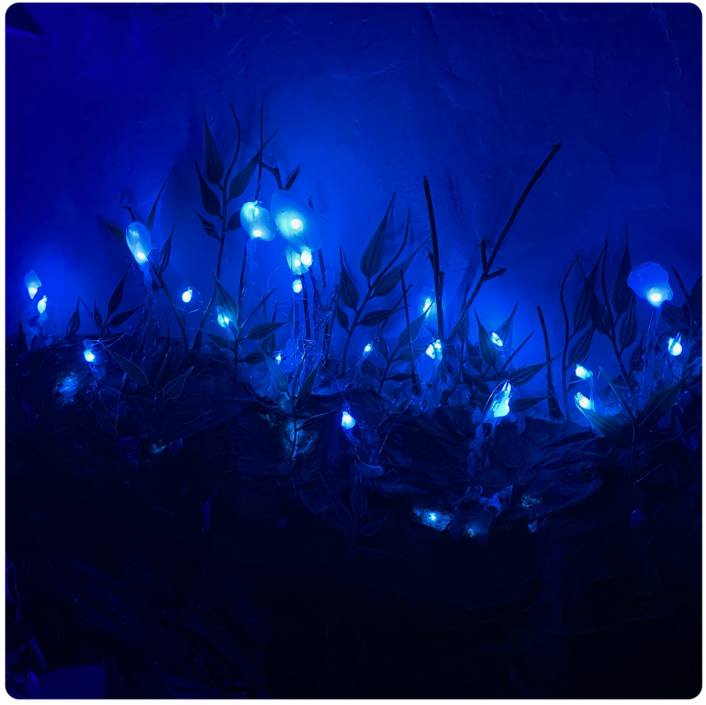 AVATAR PLANT PATTERN