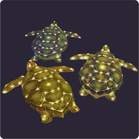 TURTLE PATTERN