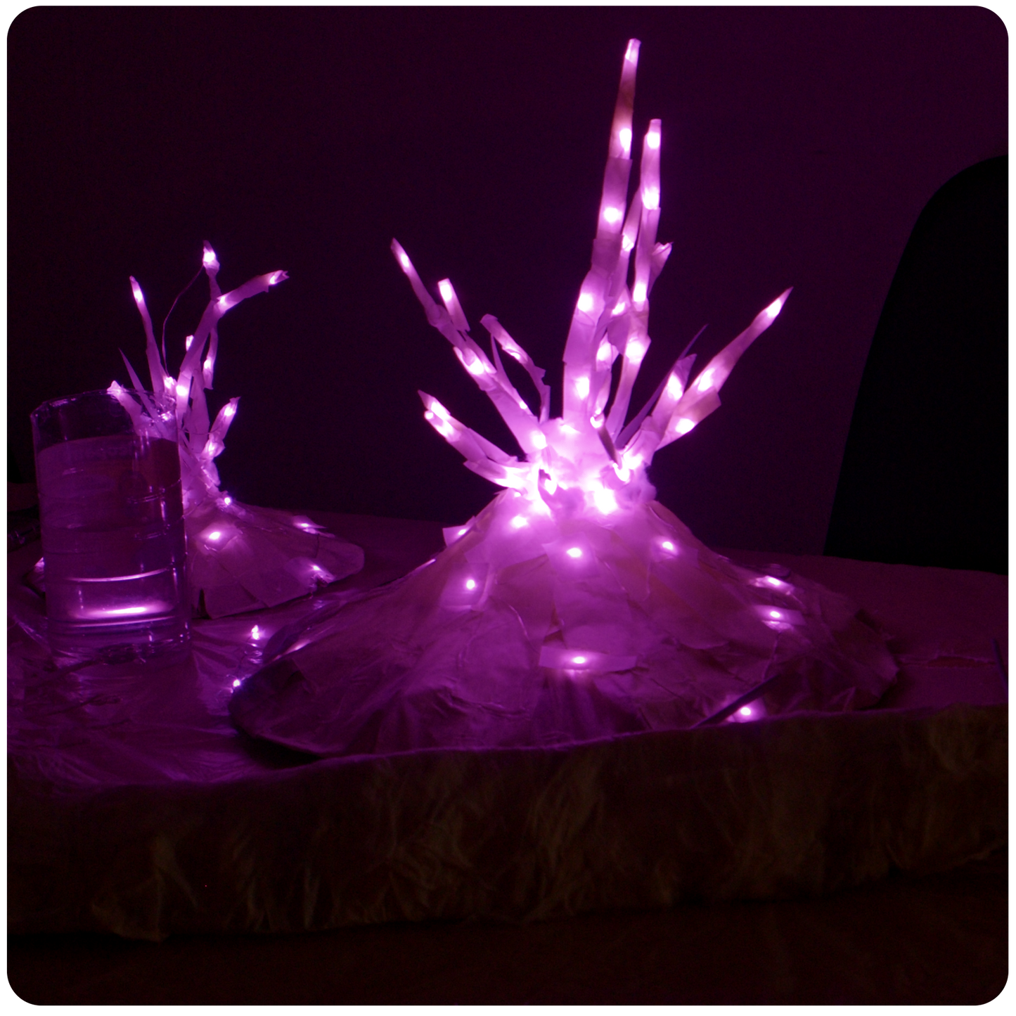 AVATAR PLANT PATTERN